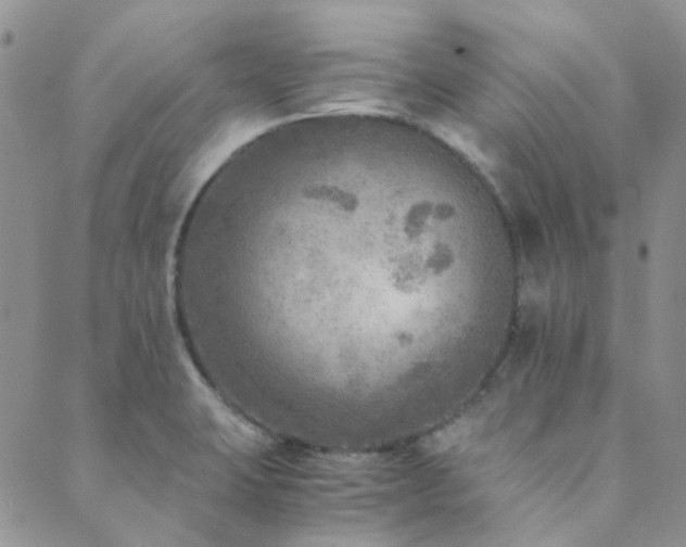 X0000089711423200706211332