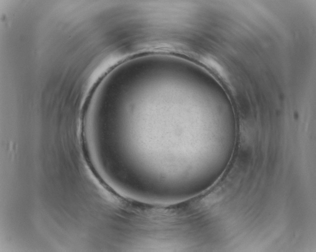 X0000089711424200706211332