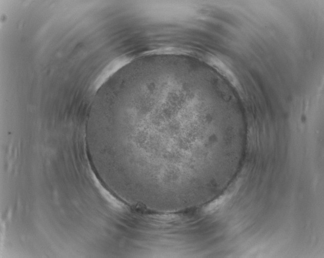 X0000089711425200706211332