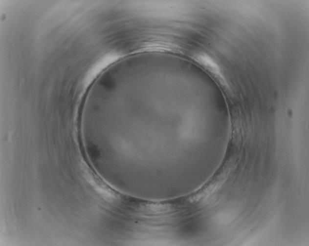 X0000089711427200706211332