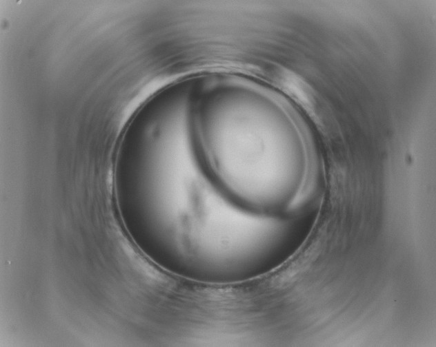 X0000089711428200706211332