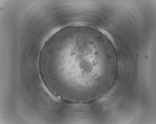 X0000089711429200706211332