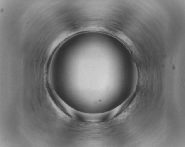 X0000089711430200706211332