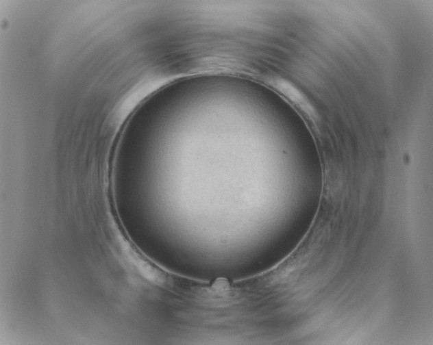 X0000089711431200706211332