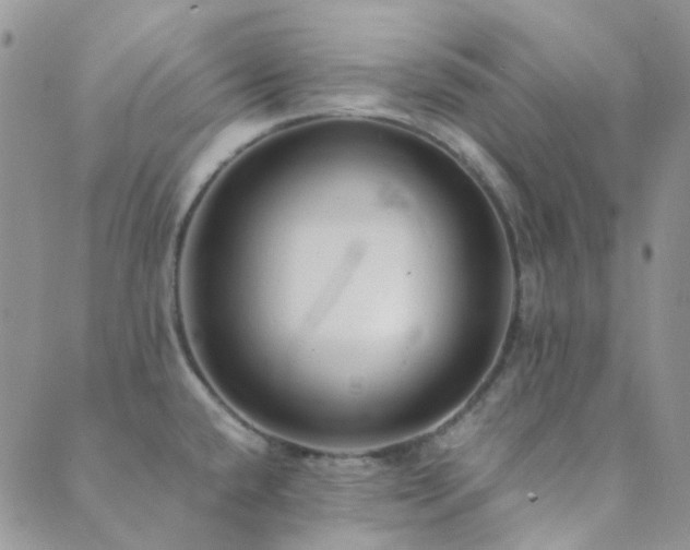 X0000089711432200706211332