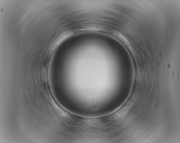 X0000089711433200706211332