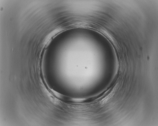 X0000089711434200706211332