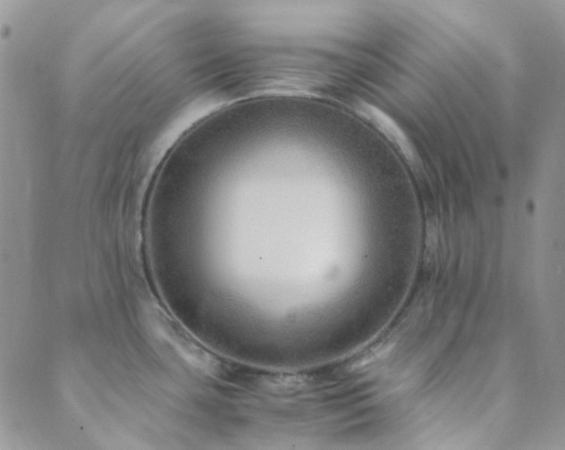 X0000089711435200706211332