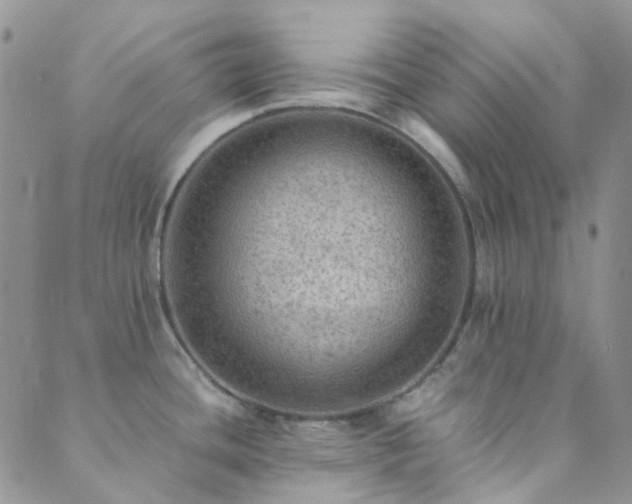 X0000089711436200706211332