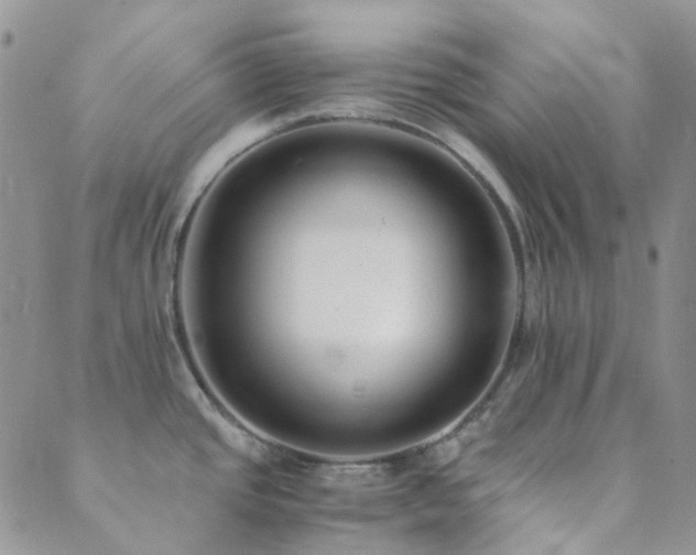 X0000089711437200706211332