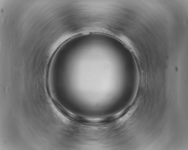 X0000089711438200706211332