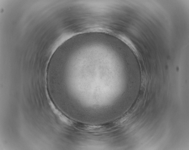 X0000089711439200706211332