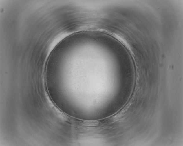 X0000089711440200706211332