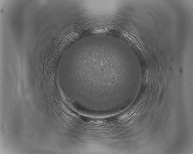 X0000089711441200706211331