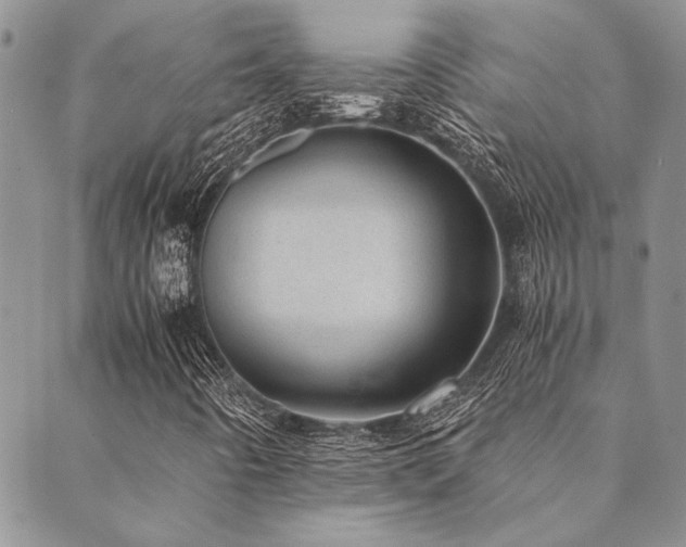 X0000089711442200706211331