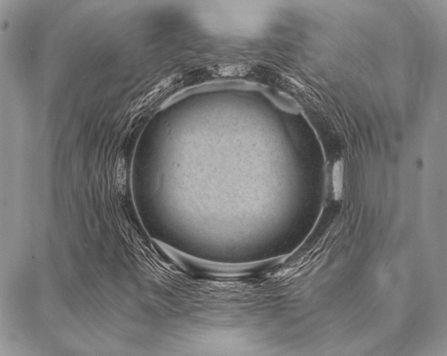 X0000089711443200706211331