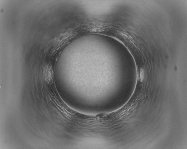 X0000089711444200706211331