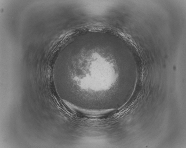 X0000089711445200706211331