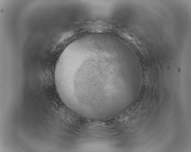 X0000089711446200706211331