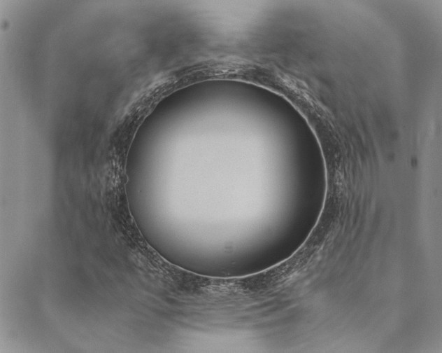 X0000089711447200706211331