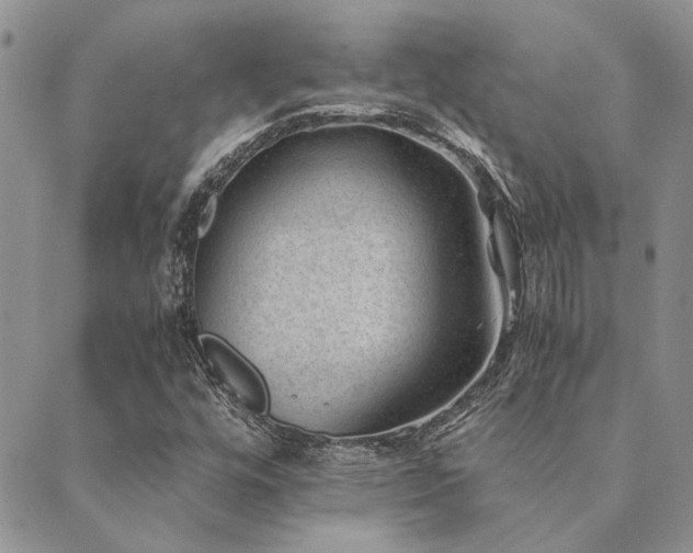 X0000089711448200706211331