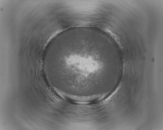 X0000089711449200706211331