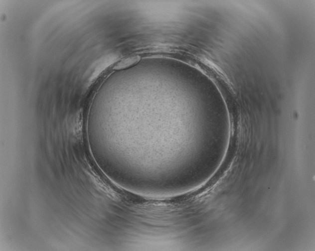 X0000089711450200706211331