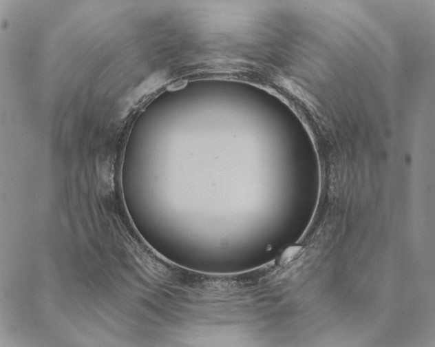 X0000089711451200706211331