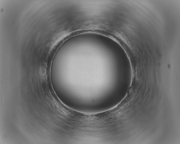 X0000089711452200706211331