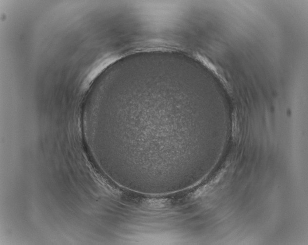 X0000089711453200706211331