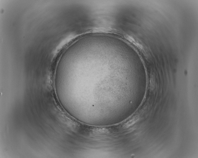 X0000089711454200706211331