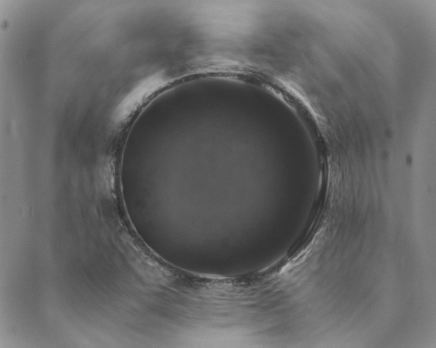 X0000089711455200706211331