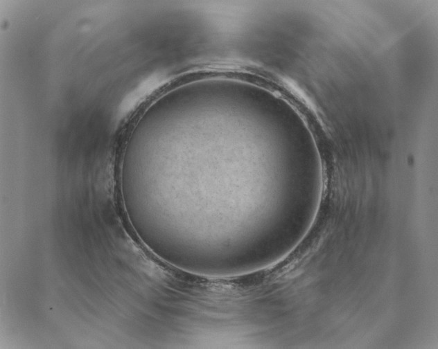 X0000089711456200706211331