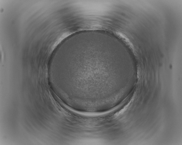 X0000089711457200706211331