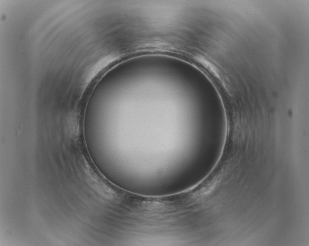 X0000089711458200706211331