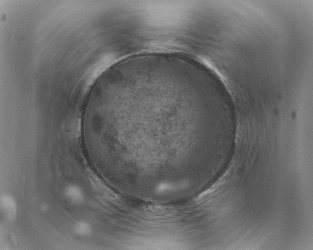 X0000089711459200706211331