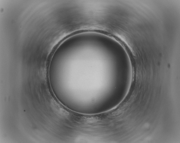 X0000089711460200706211331