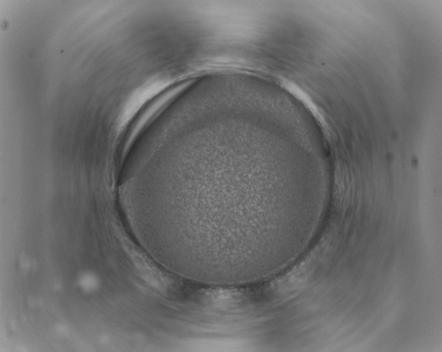 X0000089711461200706211331