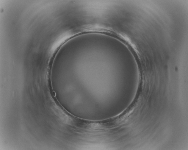 X0000089711463200706211331