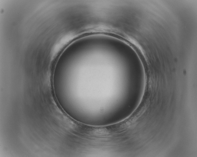 X0000089711464200706211331