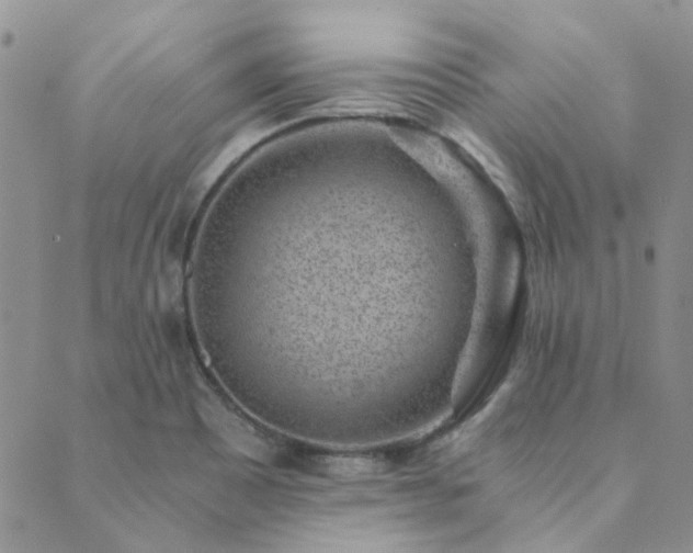 X0000089711465200706211331