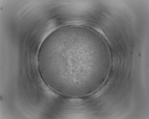 X0000089711466200706211331