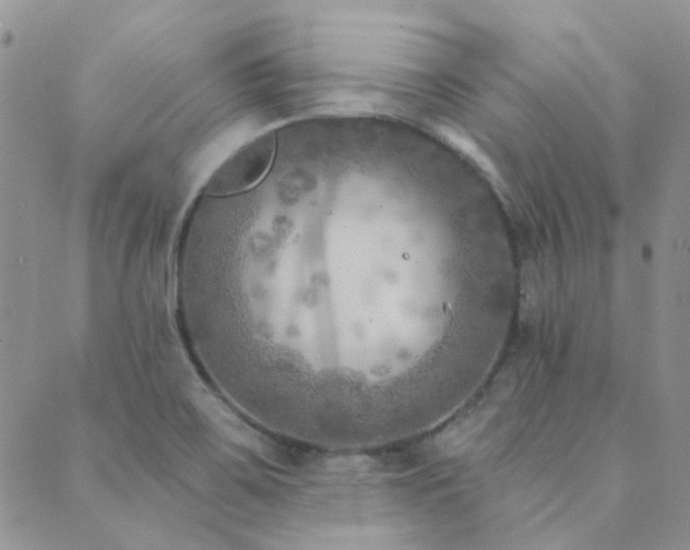 X0000089711467200706211331