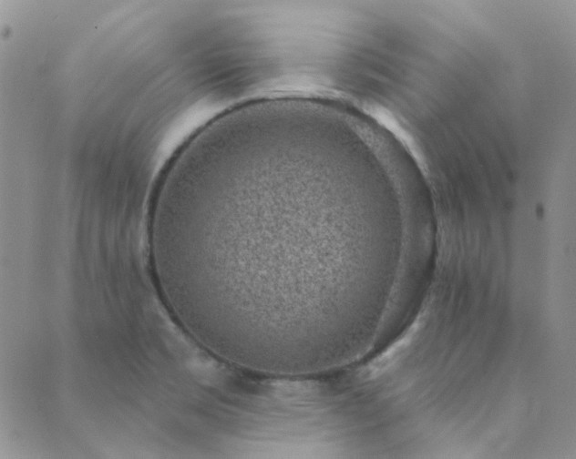 X0000089711469200706211331