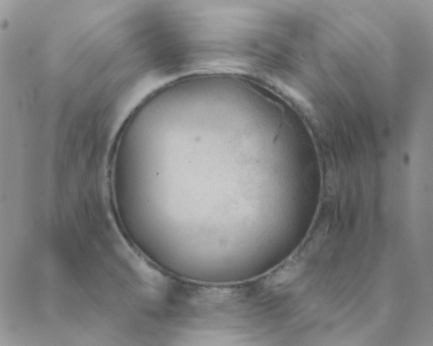 X0000089711470200706211331