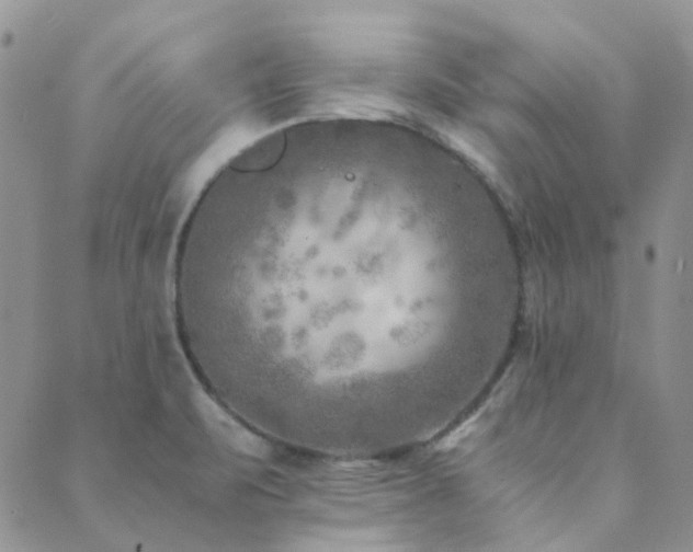 X0000089711471200706211331