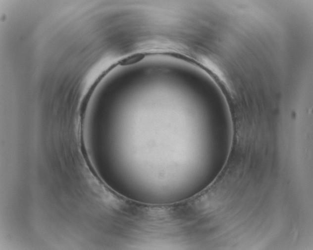 X0000089711472200706211331