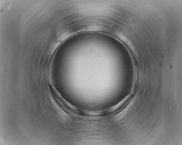 X0000089711473200706211331