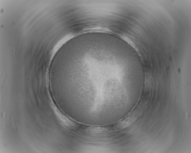 X0000089711474200706211331