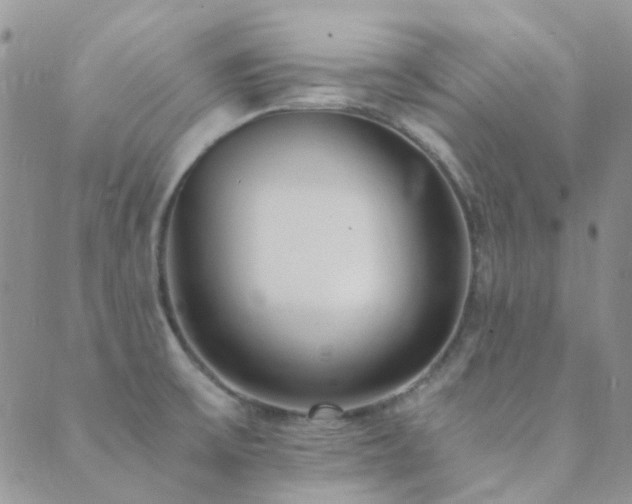 X0000089711475200706211331